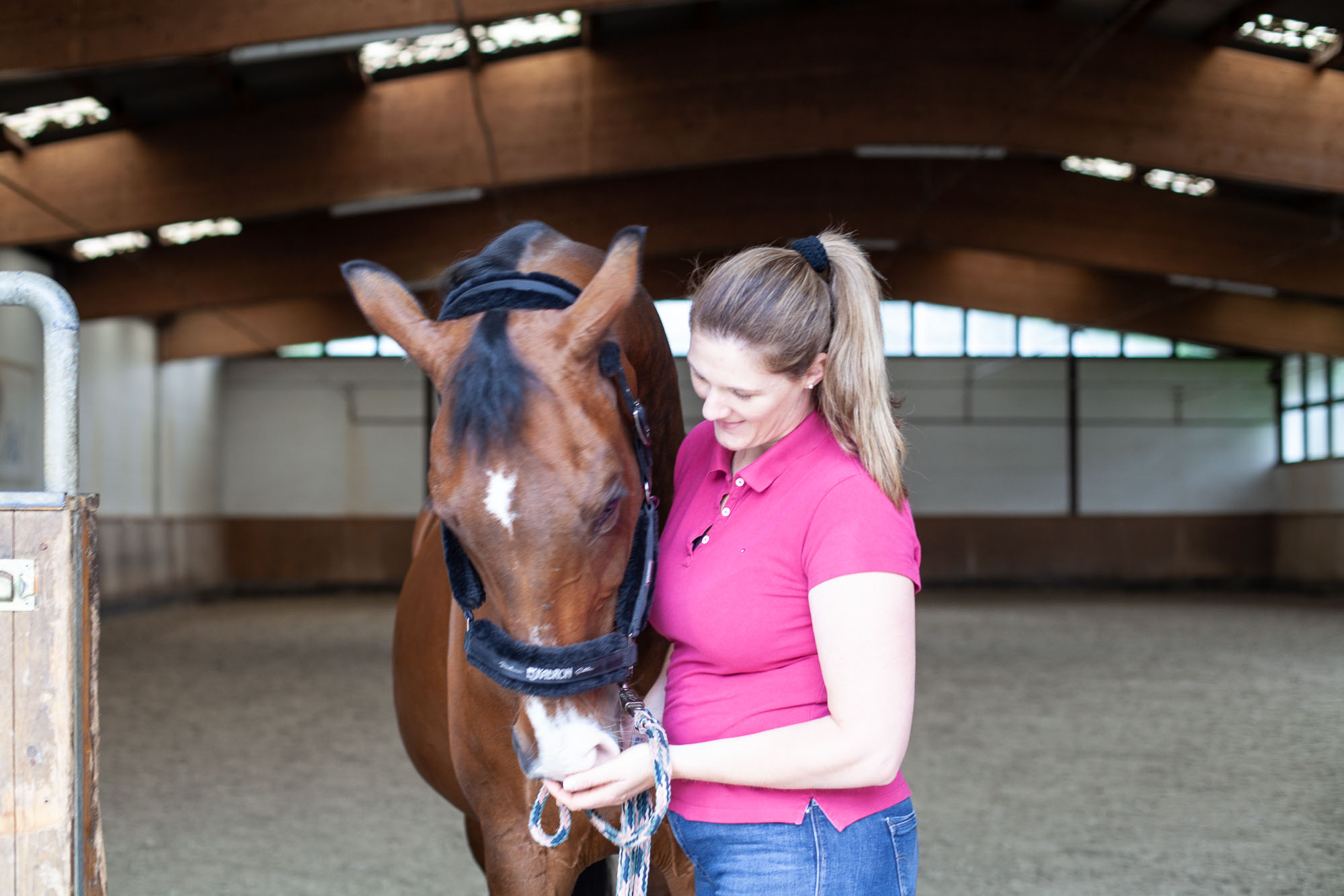 Equi-Reflection-5